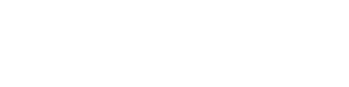 SparkySpin